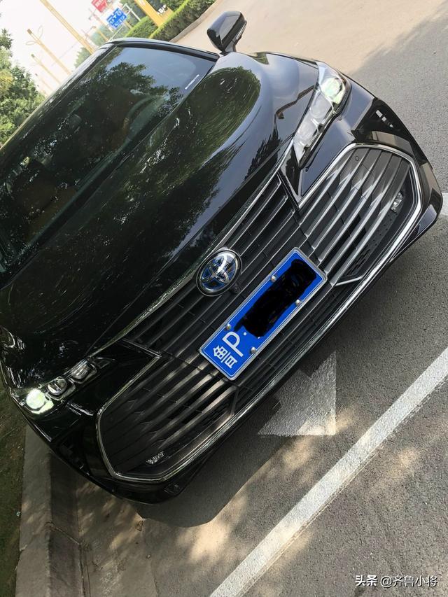 春暖花开，一如既往的陪伴，守护