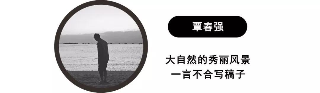 尺寸够大还是七座，星途揽月选哪款最值？