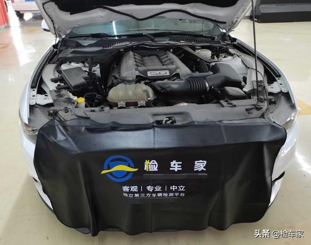 福特野马2.3T不够炸，花45万买台5.0L的，朋友：种马