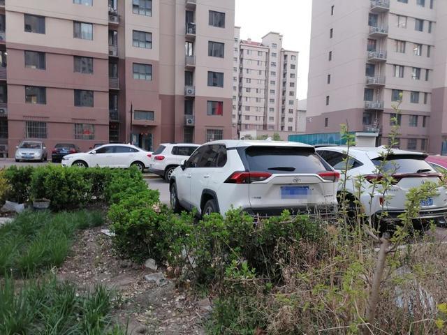 全新荣放，用车一个月的真实感受