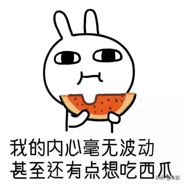 华为一出手就是王炸，极狐阿尔法S上市，25.19万起