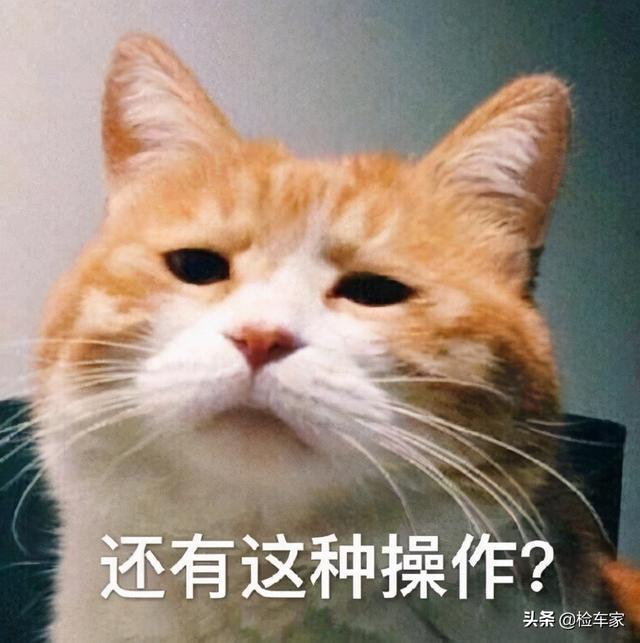 强收智商税，03年的Polo要价13万，卖家：看清楚，我这是奥迪A2