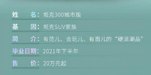 坦克官宣：坦克300城市版下半年上市 20万起 配置比你想得多
