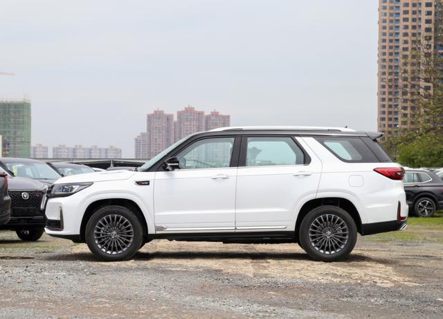 工薪族也能开起中大型SUV，这两款空间宽大，动力强油耗低