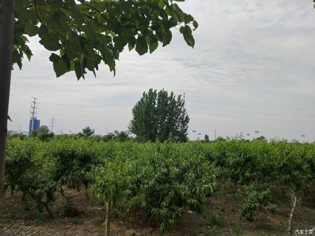 【分享篇】幸运之小白朗逸——朗逸提车有感