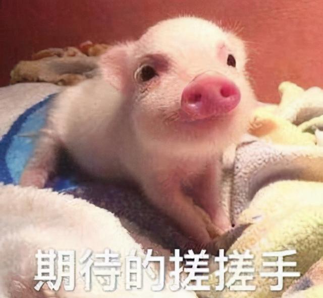 二手车骗局再升级，500万的劳斯莱斯把二手车套路用到淋漓尽致