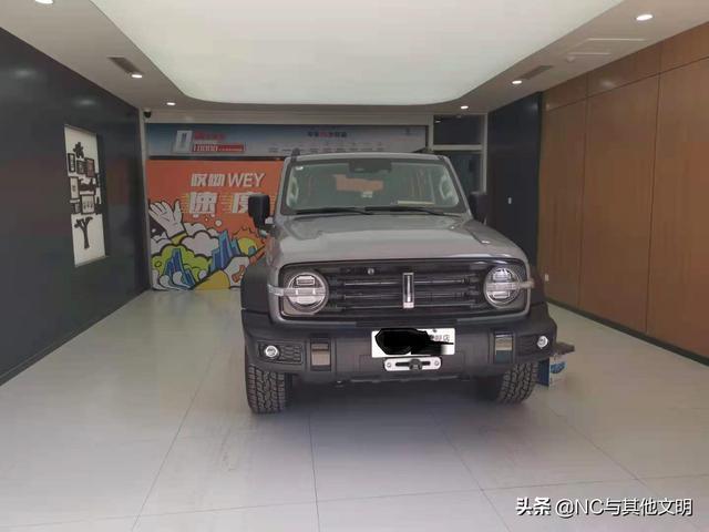 坦克300用车5个月体验，顶起来，让厂家看到不足