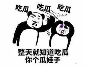 上海禁止4.6米以下电车上绿牌？宏光MINI EV：我不在乎