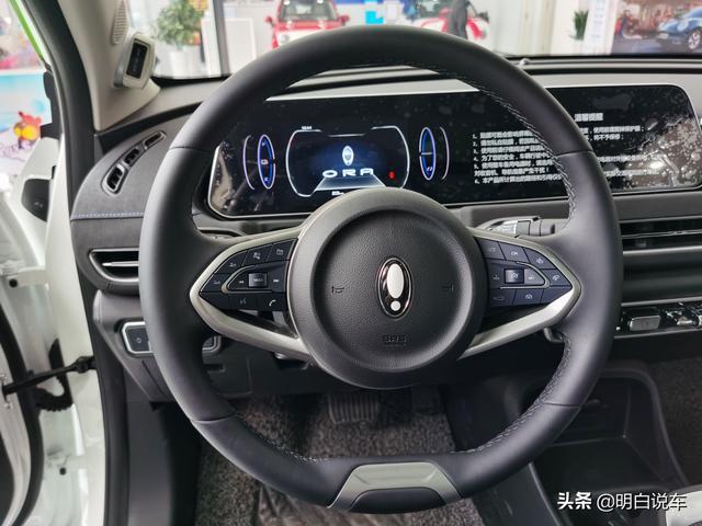好一只猫！体验欧拉好猫