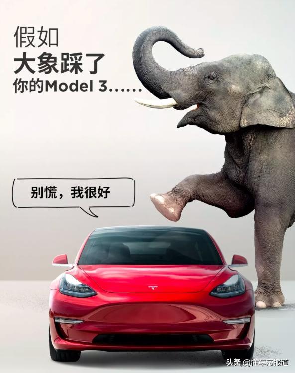 解读丨特斯拉沃尔沃碰撞对刚：当“失速”的电动车比油车更安全？