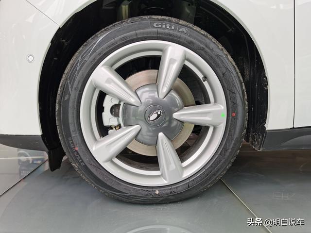 好一只猫！体验欧拉好猫