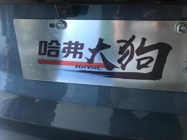 长城大狗～马犬真是高配！还要什么合资车！订一台大狗等提车