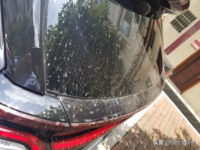 向新而行的力量→唐DMi尊荣顶配首提有感