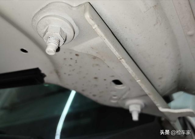 45万买台福特野马太贵了？掀开机盖买家大喜：5.0的种马