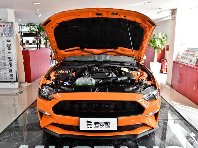 动力不错的入门跑车，价格实惠有面的进口野马，实拍Mustang