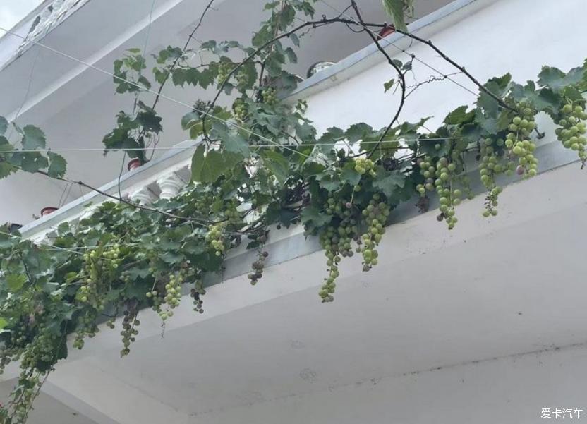 我的小白作业分享