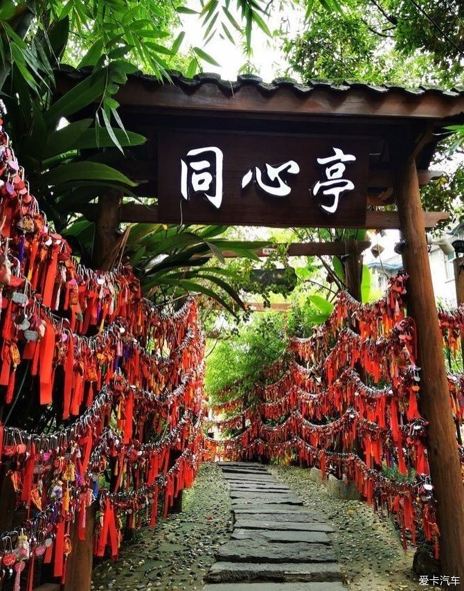 漫步在夕阳下，与帕萨特同行