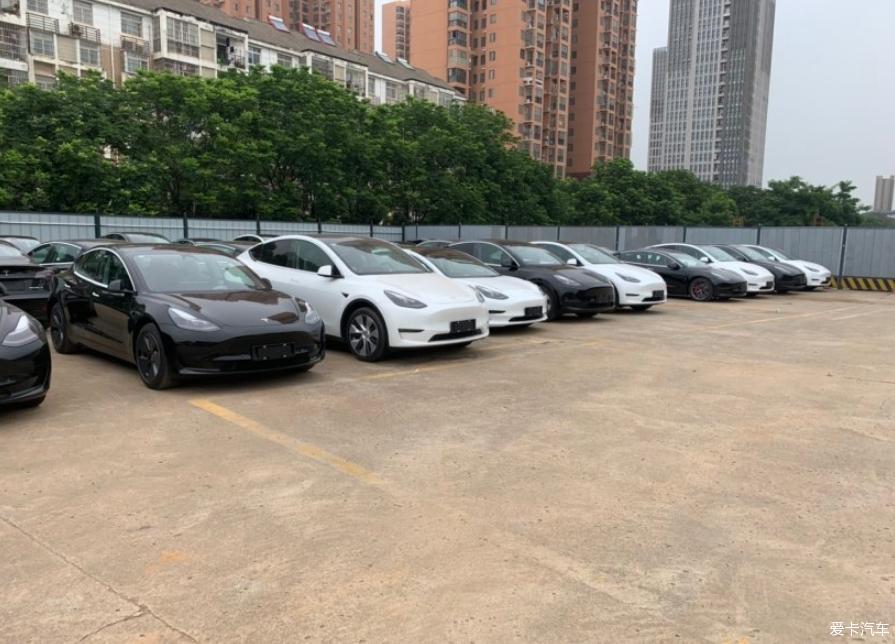 成为特斯拉车主