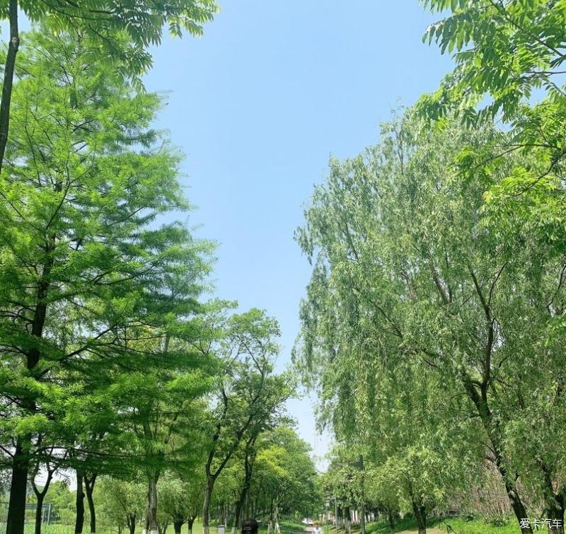 虎7相伴一路行