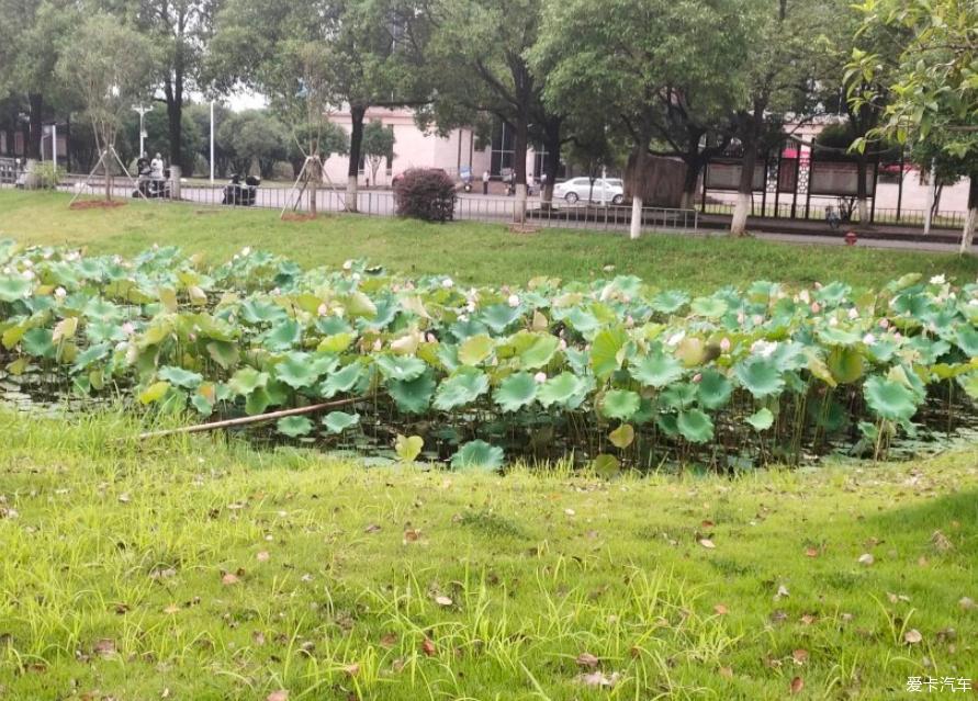 开着哈弗M6PLUS到处闲游