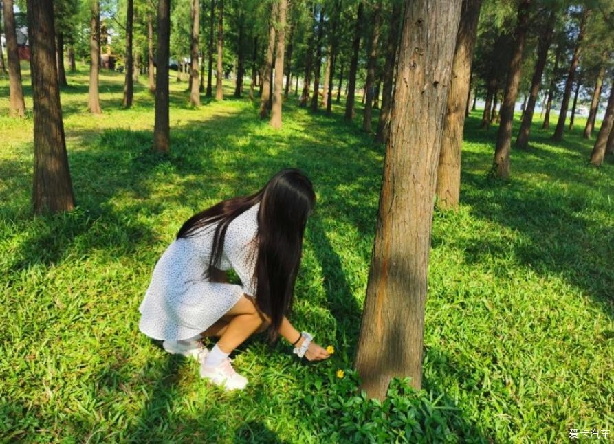 优质家轿14代轩逸用车分享
