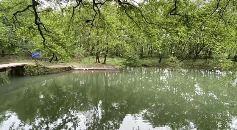 驾驶虎7，看人生的风景
