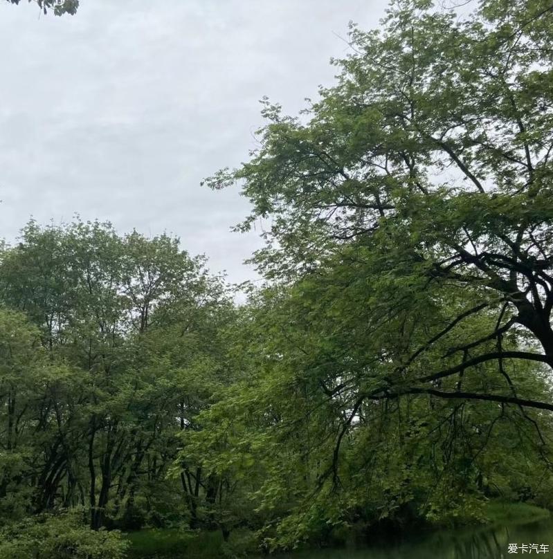 驾驶虎7，看人生的风景