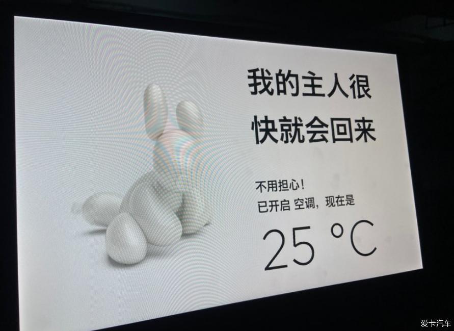 6月提车用车篇