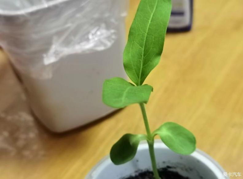 有传祺GS3，享受生活的乐趣