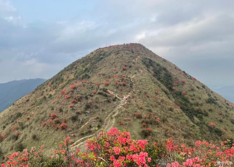 一颗按耐不住越野的心