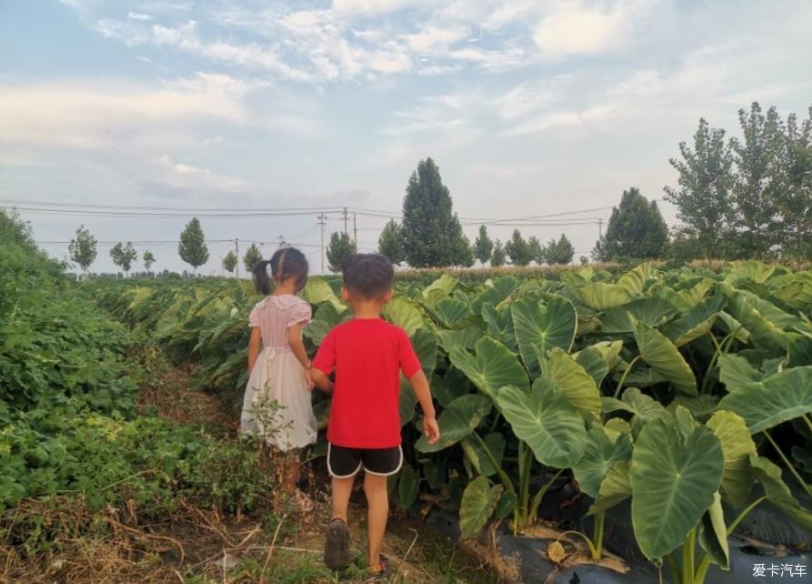 开哈弗M6去赏风景，不能辜负了这黄昏的美景