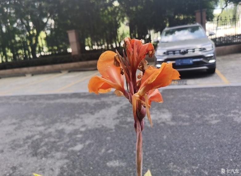 错过不一定是坏，珍惜却一定是好——大众途铠！