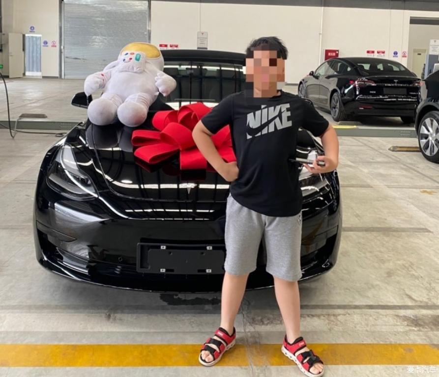 等了半年还是下手了毛豆3