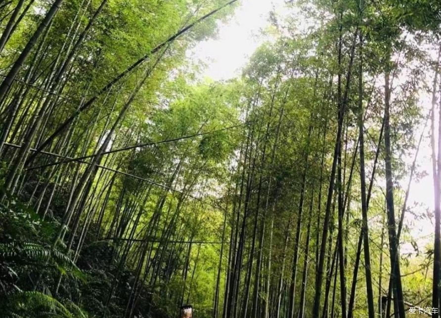 逸起去感受千泷沟瀑布自然的美