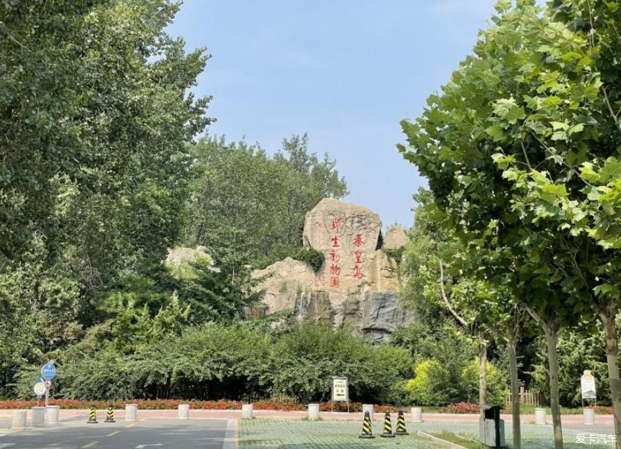 开轩逸幸福暑假快乐出行