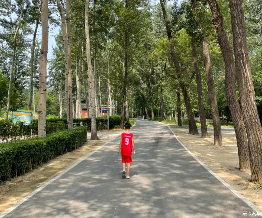 开轩逸幸福暑假快乐出行