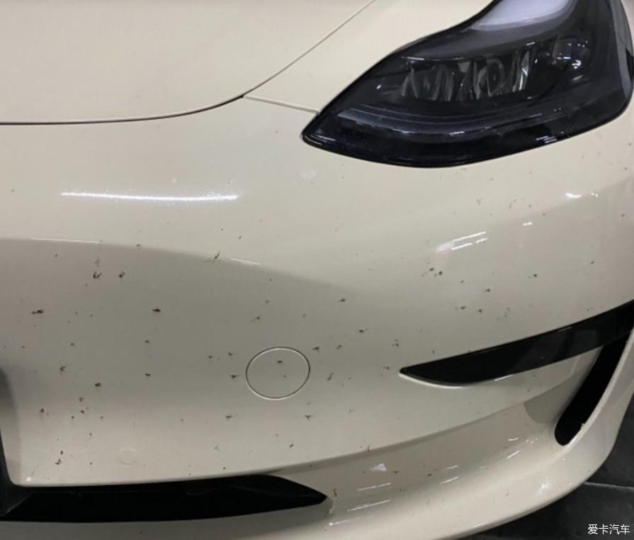 分享特斯拉MODEL 3标续提车及使用感受