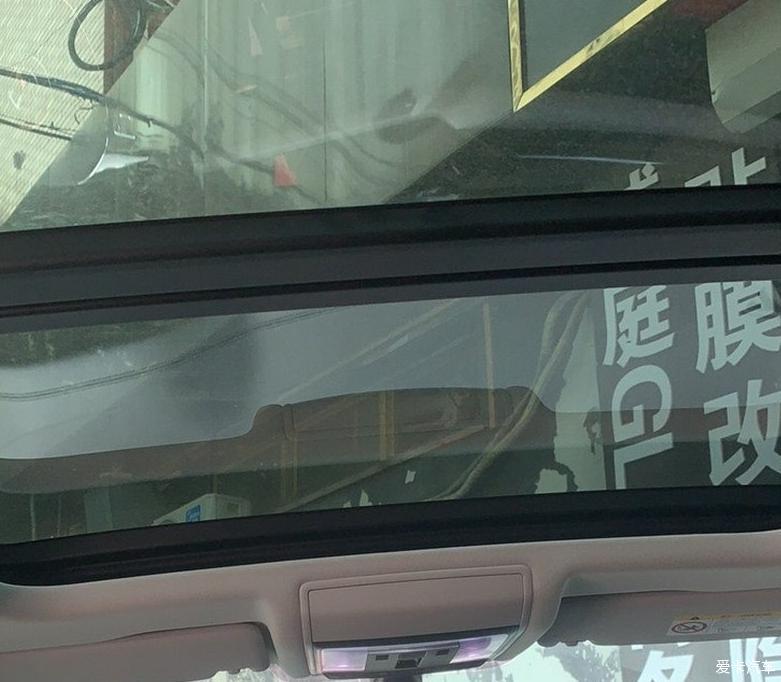 来晒一晒我们家的小黑