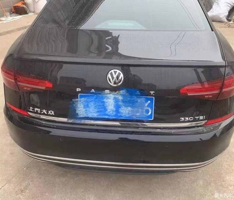 来晒一晒我们家的小黑