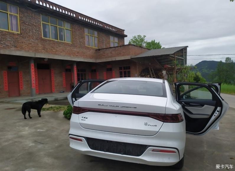 喜提小秦，人生美滋滋