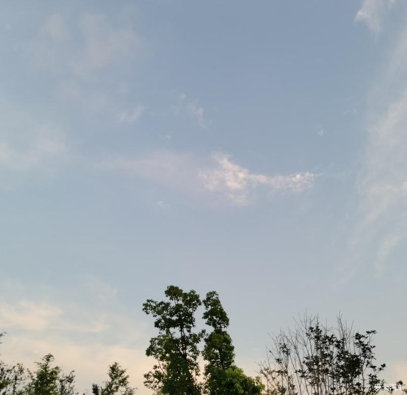 如七而至，爱与陪伴的一场邂逅