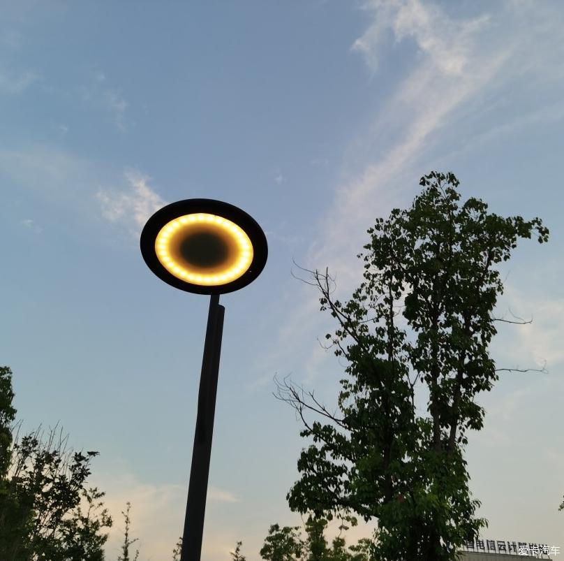 如七而至，爱与陪伴的一场邂逅