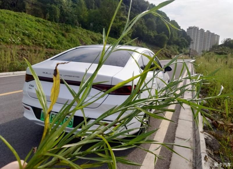 秦plus不仅有美丽的皮囊，更有趣的是灵魂