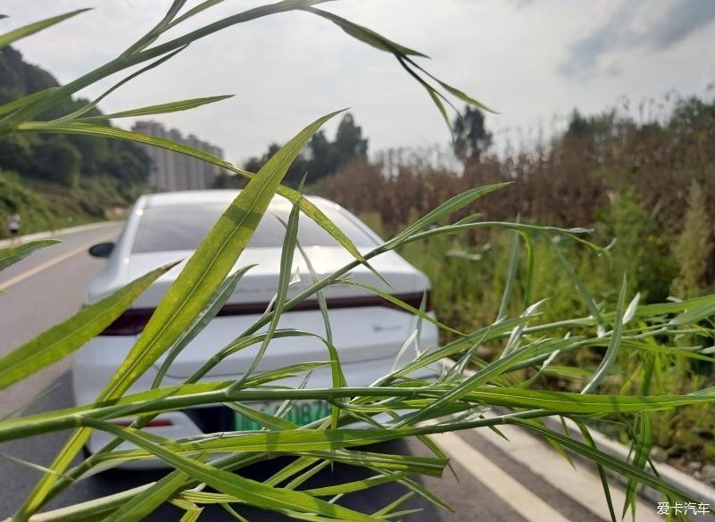 秦plus不仅有美丽的皮囊，更有趣的是灵魂