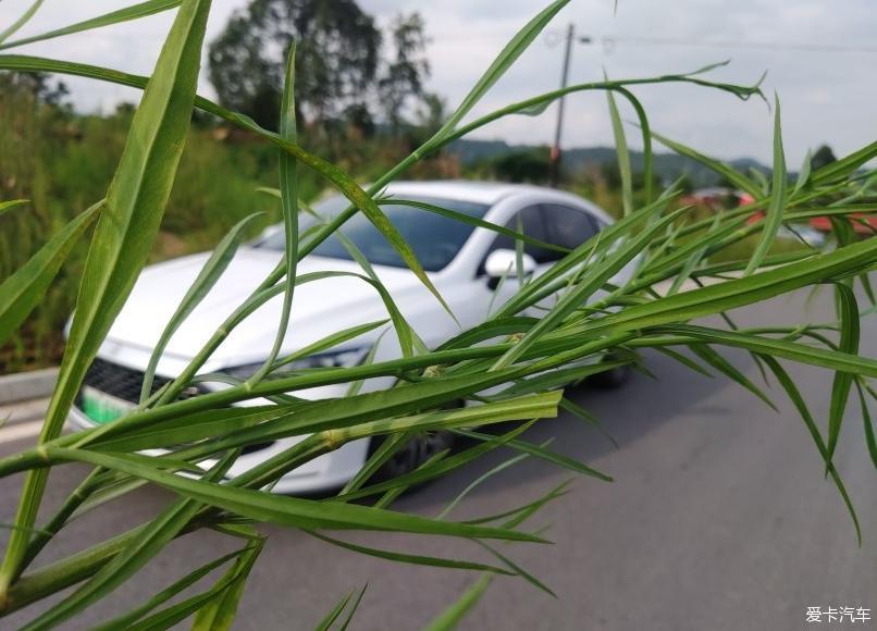 秦plus不仅有美丽的皮囊，更有趣的是灵魂