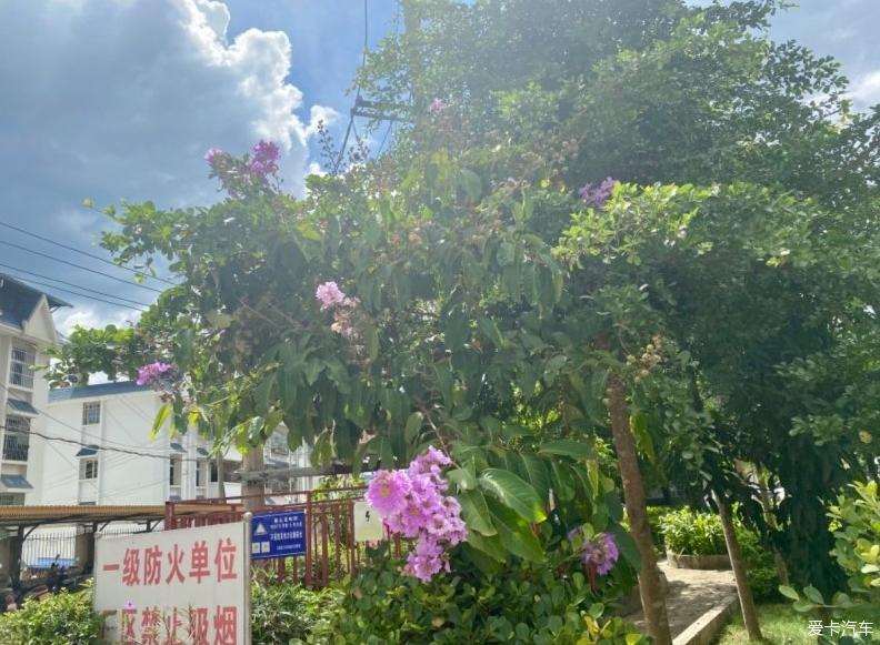 我的GS3陪伴我一年半了