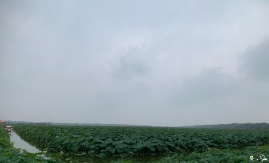 开着轩逸去办事偶遇美景