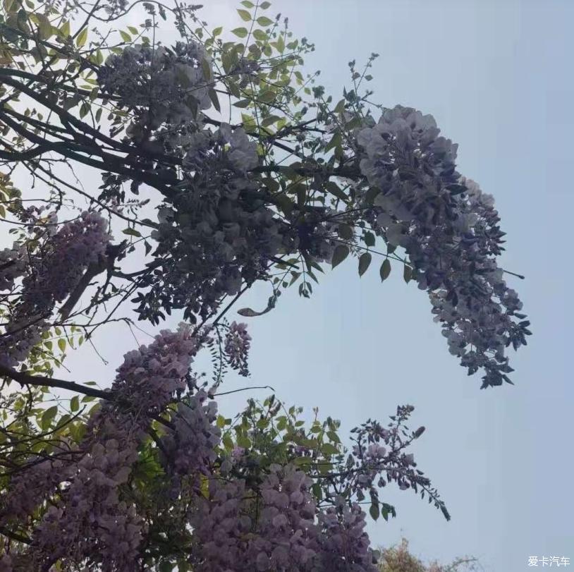 七座的开拓者 看上它的大空间和厚座椅