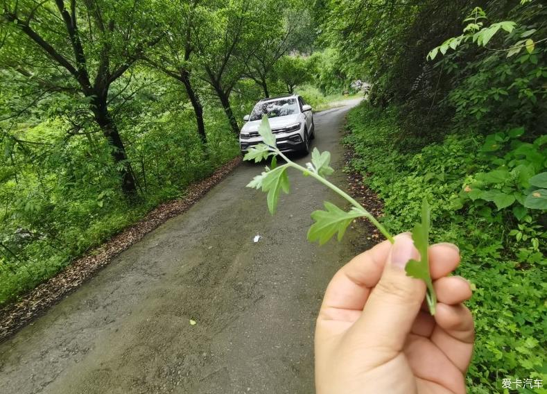 回家路上有你很安心——途铠提车记