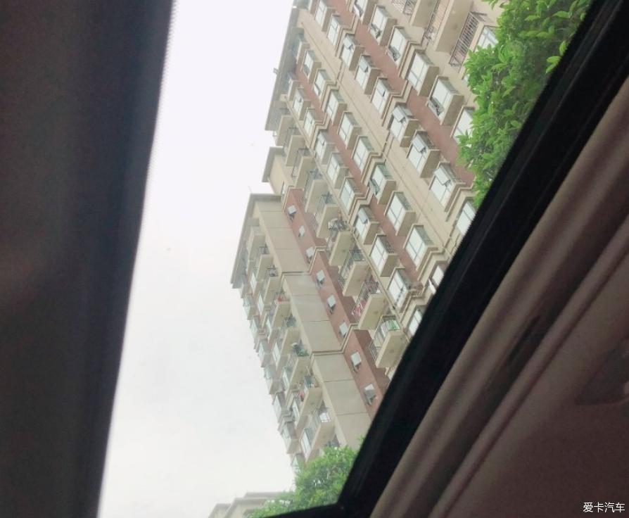 轩逸老友的相知相伴